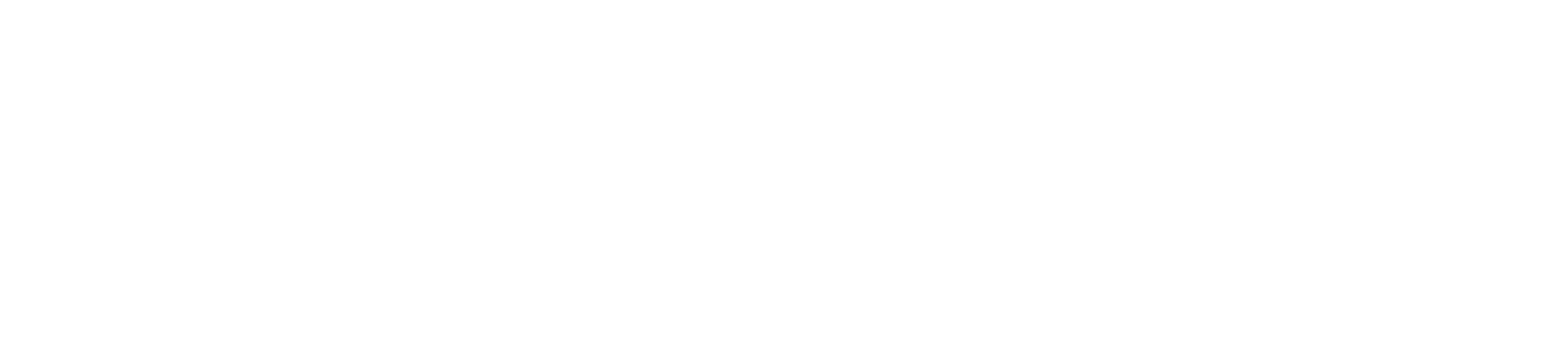 OFFICIAL-TIMS-Software-Service-Support-White-Open-Sans